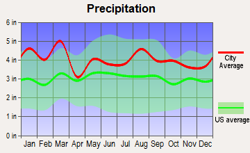 Hickory Grove, South Carolina average precipitation