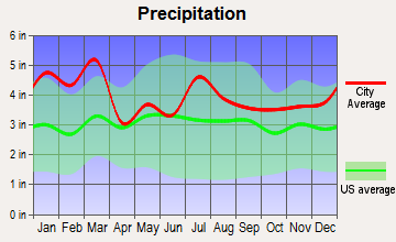 Hodges, South Carolina average precipitation