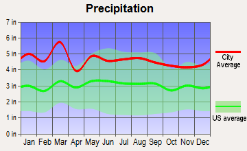 Inman Mills, South Carolina average precipitation