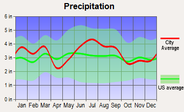McColl, South Carolina average precipitation