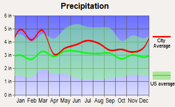 McCormick, South Carolina average precipitation