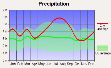 Mullins, South Carolina average precipitation