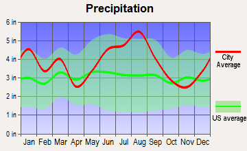 Santee, South Carolina average precipitation
