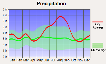 Seabrook Island, South Carolina average precipitation