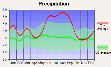 Summerville, South Carolina average precipitation