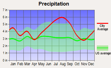 Nesmith, South Carolina average precipitation