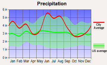 Barnwell, South Carolina average precipitation