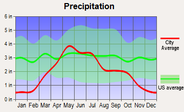 Winner, South Dakota average precipitation