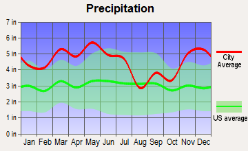 Pinson, Tennessee average precipitation