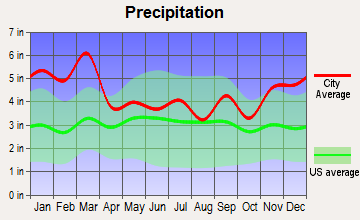 Collegedale, Tennessee average precipitation