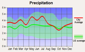 Fall Branch, Tennessee average precipitation