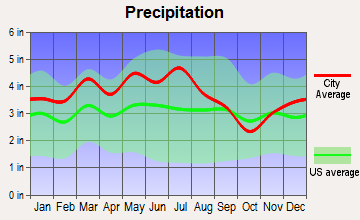 Greeneville, Tennessee average precipitation