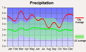 Iron City, Tennessee average precipitation