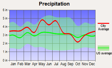 Johnson City, Tennessee average precipitation