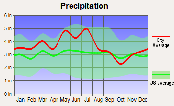 Jonesborough, Tennessee average precipitation