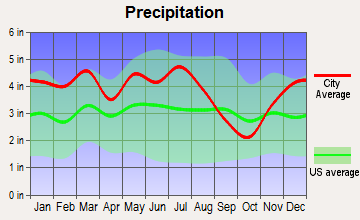Morristown, Tennessee average precipitation