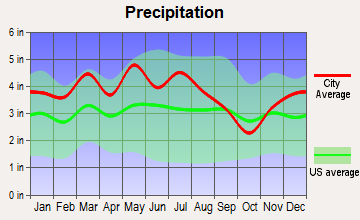 Newport, Tennessee average precipitation