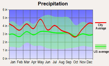 Rogersville, Tennessee average precipitation