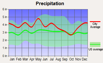 Surgoinsville, Tennessee average precipitation