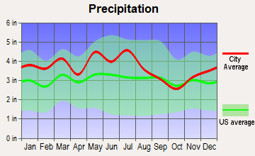 Bloomingdale, Tennessee average precipitation