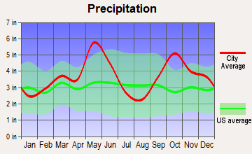 Bailey, Texas average precipitation