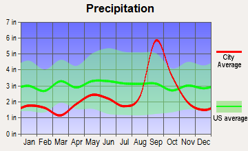 Bayview, Texas average precipitation