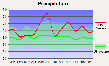 Bellaire, Texas average precipitation