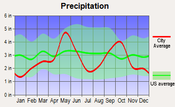 Bellevue, Texas average precipitation