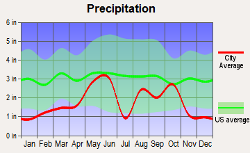 Big Wells, Texas average precipitation