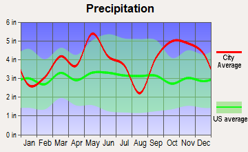 Blossom, Texas average precipitation