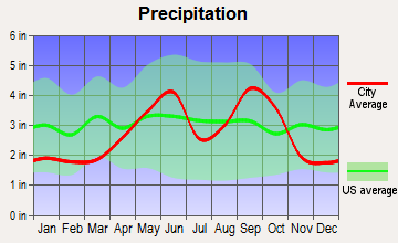 Blue Berry Hill, Texas average precipitation