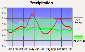 Blue Ridge, Texas average precipitation