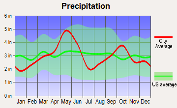 Blum, Texas average precipitation