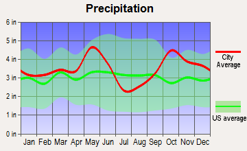 Buffalo, Texas average precipitation