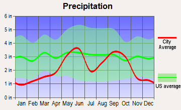 Buffalo Gap, Texas average precipitation