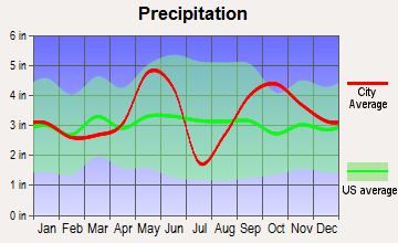 Burton, Texas average precipitation