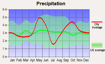 Carmine, Texas average precipitation