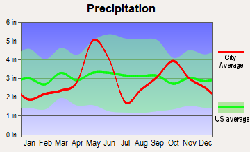 Cedar Park, Texas average precipitation