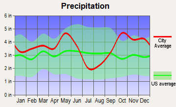 Chandler, Texas average precipitation