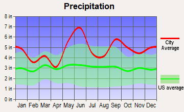 China, Texas average precipitation