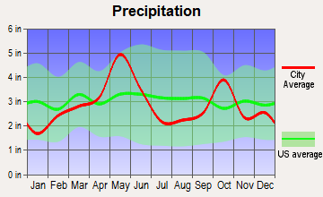 Crowley, Texas average precipitation