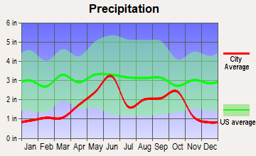 Crystal City, Texas average precipitation