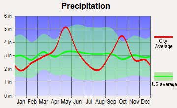 Double Oak, Texas average precipitation