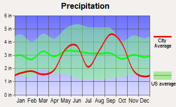Driscoll, Texas average precipitation