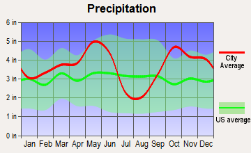 Edgewood, Texas average precipitation