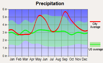 El Campo, Texas average precipitation