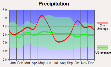 Emory, Texas average precipitation
