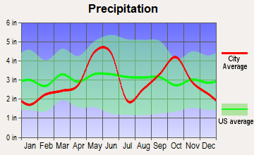 Fair Oaks Ranch, Texas average precipitation