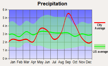 Fulton, Texas average precipitation