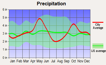 Garrett, Texas average precipitation